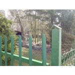 Zdjęcia użytkowników Samsung Galaxy Tab S3 LTE