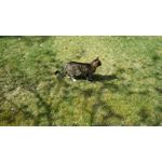 Zdjęcia użytkowników Samsung Galaxy Tab S3 LTE