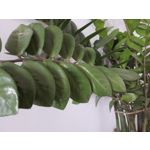 Zdjęcia użytkowników Samsung Galaxy Tab S3 LTE