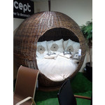 Zdjęcia użytkowników Samsung Galaxy Xcover 2