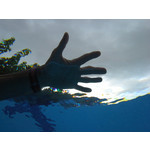 Zdjęcia użytkowników Samsung Galaxy Xcover 2