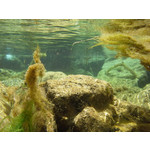 Zdjęcia użytkowników Samsung Galaxy Xcover 2