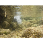 Zdjęcia użytkowników Samsung Galaxy Xcover 2