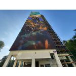 Zdjęcia użytkowników Samsung Galaxy Z Flip 3