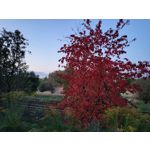 Zdjęcia użytkowników Samsung Galaxy Z Flip 3