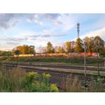 Zdjęcia użytkowników Samsung Galaxy Z Flip 3