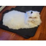 Zdjęcia użytkowników Samsung Galaxy Z Flip 3