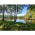 Zdjęcia użytkowników Samsung Galaxy Z Flip 3