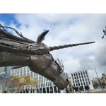 Zdjęcia użytkowników Samsung Galaxy Z Flip 3