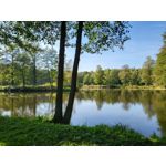 Zdjęcia użytkowników Samsung Galaxy Z Flip 3