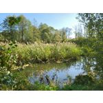 Zdjęcia użytkowników Samsung Galaxy Z Flip 3