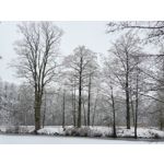 Zdjęcia użytkowników Samsung Galaxy Z Fold 2