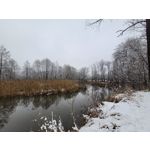 Zdjęcia użytkowników Samsung Galaxy Z Fold 2