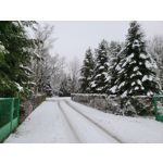 Zdjęcia użytkowników Samsung Galaxy Z Fold 2