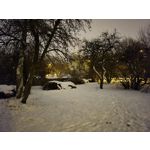 Zdjęcia użytkowników Samsung Galaxy Z Fold 2