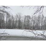 Zdjęcia użytkowników Samsung Galaxy Z Fold 2