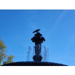 Zdjęcia użytkowników Samsung Galaxy Z Fold 3