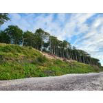 Zdjęcia użytkowników Samsung Galaxy Z Fold 3