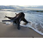 Zdjęcia użytkowników Samsung Galaxy Z Fold 3