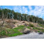 Zdjęcia użytkowników Samsung Galaxy Z Fold 3