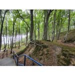 Zdjęcia użytkowników Samsung Galaxy Z Fold 3