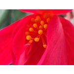 Zdjęcia użytkowników Samsung Galaxy Z Fold4