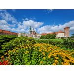 Zdjęcia użytkowników Samsung Galaxy Z Fold4