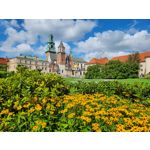 Zdjęcia użytkowników Samsung Galaxy Z Fold4