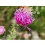 Zdjęcia użytkowników Samsung Galaxy Z Fold4