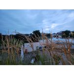 Zdjęcia użytkowników Samsung Galaxy Z Fold4