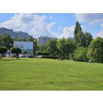 Zdjęcia użytkowników Samsung Galaxy Z Fold5