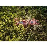 Zdjęcia użytkowników Samsung Galaxy Z Fold5