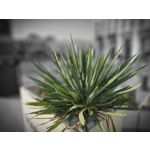 Zdjęcia użytkowników Samsung Galaxy Z Fold5