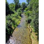 Zdjęcia użytkowników Samsung Galaxy Z Fold5