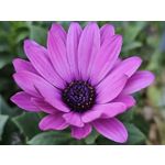 Zdjęcia użytkowników Samsung Galaxy Z Fold5