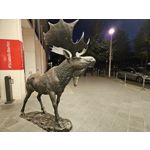 Zdjęcia użytkowników Samsung Galaxy Z Fold5