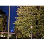 Zdjęcia użytkowników Samsung Galaxy Z Fold5