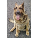 Zdjęcia użytkowników Samsung GT-B3410