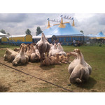 ZDJĘCIA Z TEGO TELEFONU ZDJĘCIA Z TEGO TELEFONU