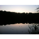 Zdjęcia użytkowników Samsung GT-i5800 Galaxy 3