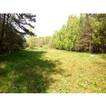 Zdjęcia użytkowników Samsung GT-i5800 Galaxy 3