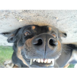 Zdjęcia użytkowników Samsung GT-i8000 Omnia 2