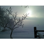 Zdjęcia użytkowników Samsung GT-i8510