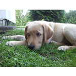 Zdjęcia użytkowników Samsung GT-i9000 Galaxy S Zdjęcia użytkowników Samsung GT-i9000 Galaxy S