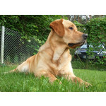 Zdjęcia użytkowników Samsung GT-i9000 Galaxy S Zdjęcia użytkowników Samsung GT-i9000 Galaxy S