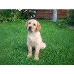 Zdjęcia użytkowników Samsung GT-i9000 Galaxy S Zdjęcia użytkowników Samsung GT-i9000 Galaxy S