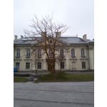 Zdjęcia użytkowników Samsung GT-i9301i