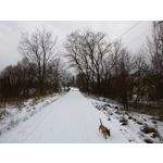 Zdjęcia użytkowników Samsung GT-i9301i