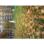 Zdjęcia użytkowników Samsung GT-M8800 Zdjęcia użytkowników Samsung GT-M8800