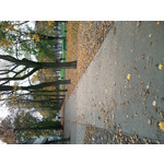 Zdjęcia użytkowników Samsung GT-M8800 Zdjęcia użytkowników Samsung GT-M8800